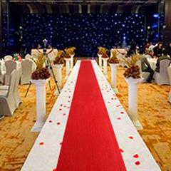 加厚红地毯 彩色地毯 展览地毯展会婚庆 开业地毯 粉红色 3米宽幅整卷每平单